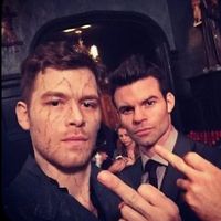 stefanshumanityswitch
