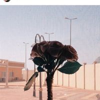 user19939163