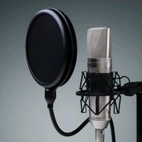 الصوت الأصلي