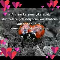 ayseltekin0