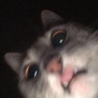 rasyznv
