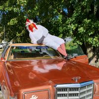 thunderchicken77