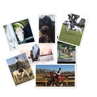 equestrianswedem