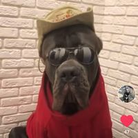 оригинальный звук