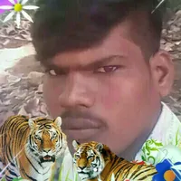 original sound - surshsuresh97