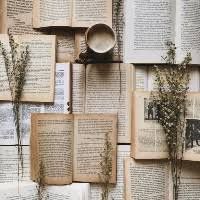 booktoketka
