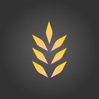 original sound - Satellite Acres