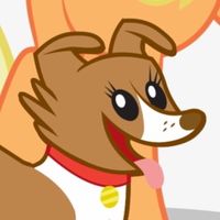 jammer anthem animal jam