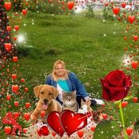dyjmdoq79taz