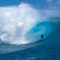 surfing.shots