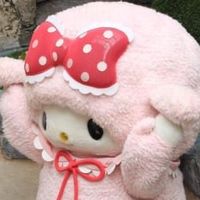 teddy.beqrr