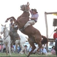 emanuelbandera127