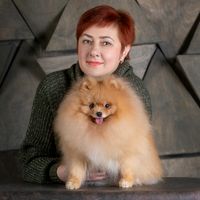 ilicheva_lis