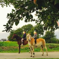 pietje.soulhorse