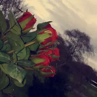 original sound - blear.soundss