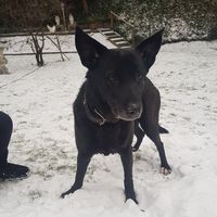 komm.wieder.bby.bitte