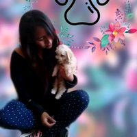 marie_hha2