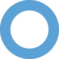 som original - Observador