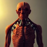 thehumanator