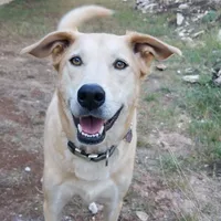 original sound - tia_and_lily