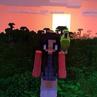 minecraft.xo12