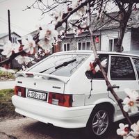 _vaz.2114_0