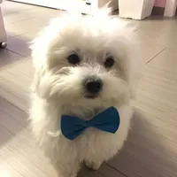 original sound - juany_sahin