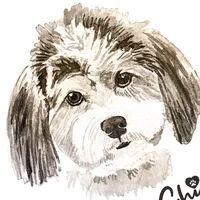 original sound - thatdoggychi