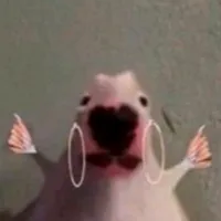 original sound - yano44ka_