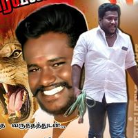 massmanimassmani91