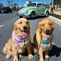 original sound - ninaesury