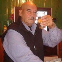 negritomontecino