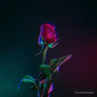 guys the song name is cigarette daydreams