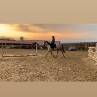 equestriangirlll.04