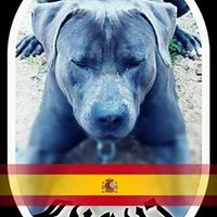 oscargarrochena5