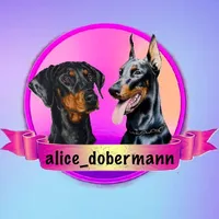 original sound - alice_dobermann