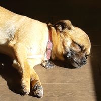 eggos._.stranger._.011