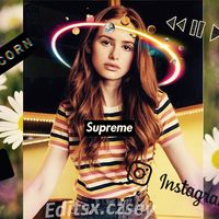 x.casey.x8