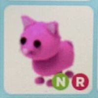 itrygetneonridepinkcat
