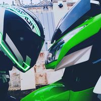 thegreen_dylanz1000