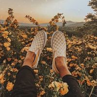 aestheticssunnii