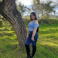 shamerlicerna