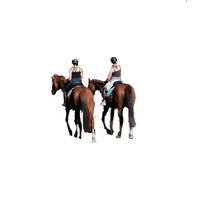 _ns_.equestrian