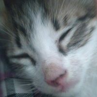 original sound - Cherry🎧