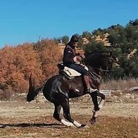 adrianzoiloromero