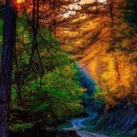 الصوت الأصلي