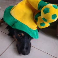 snoopy_dog_arteiro