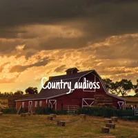 original sound - country_audioss