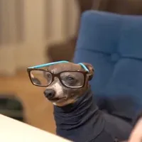 original sound - mslucybabyy