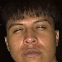 gustazoverme